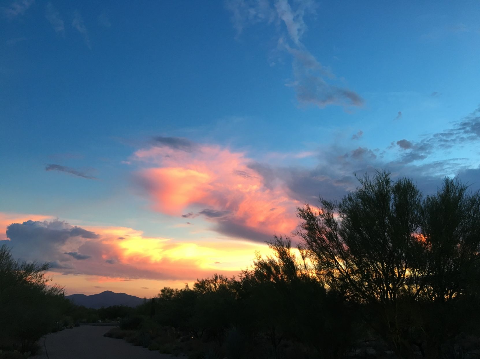 Tucson sunset